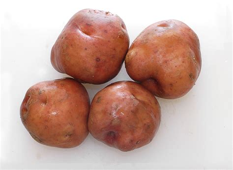 Gammal svensk röd potatis